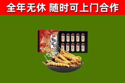 理塘回收冬虫夏草价格